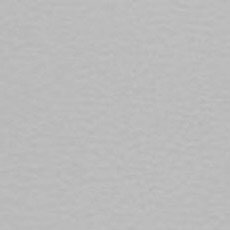 Ash Gray IL110