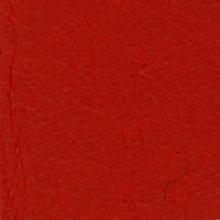 Torch Red PVL710